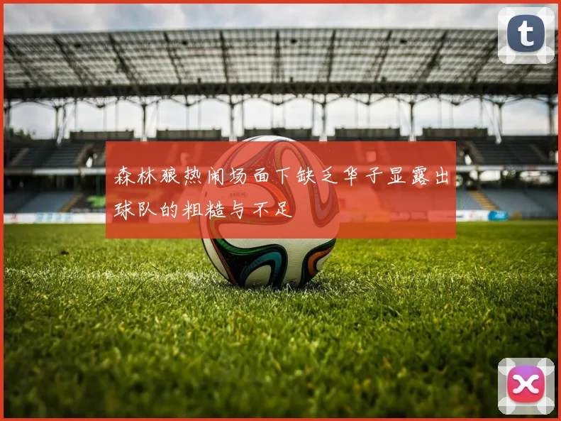 森林狼热闹场面下缺乏华子显露出球队的粗糙与不足