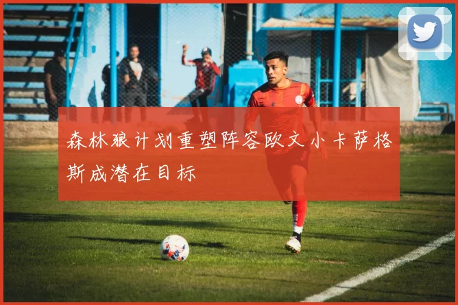 森林狼计划重塑阵容欧文小卡萨格斯成潜在目标