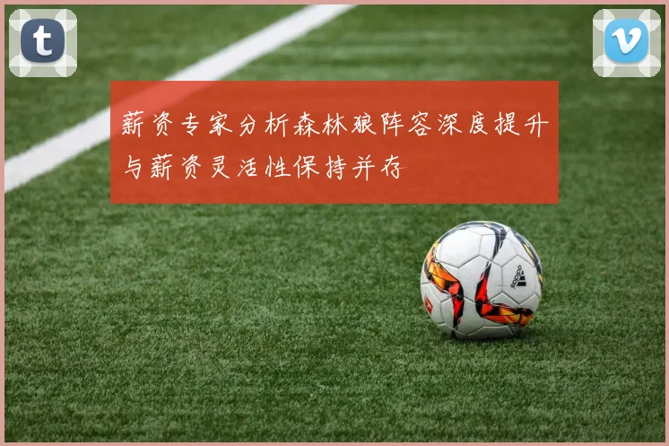 薪资专家分析森林狼阵容深度提升与薪资灵活性保持并存