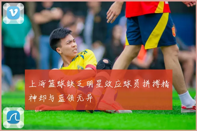 上海篮球缺乏明星效应球员拼搏精神却与蓝领无异