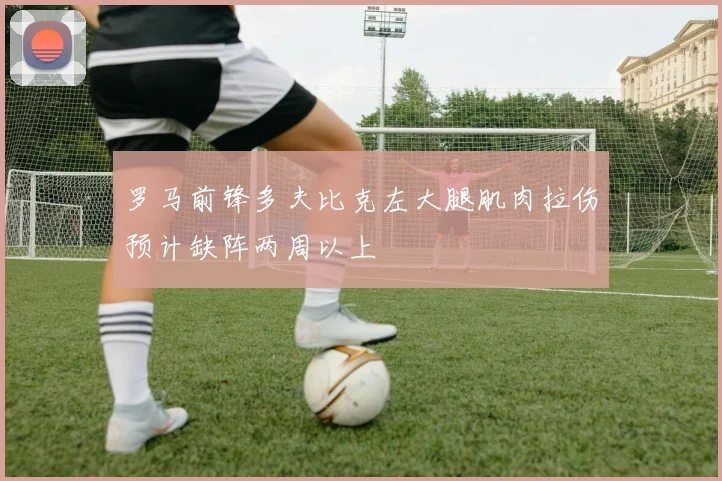 罗马前锋多夫比克左大腿肌肉拉伤预计缺阵两周以上